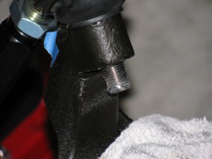 Mushroom on the stem!