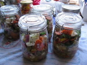 kh6wz - giardiniera apple puffs foot boxes 001