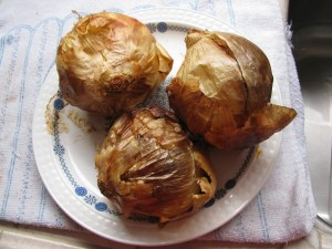 kh6wz-05-05-2013 019